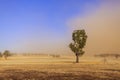 New South Wales Ã¢â¬â Dust Storm near Temora